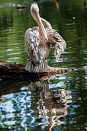 《如龙7外传》PC版性能表现分析：流畅运行无压力